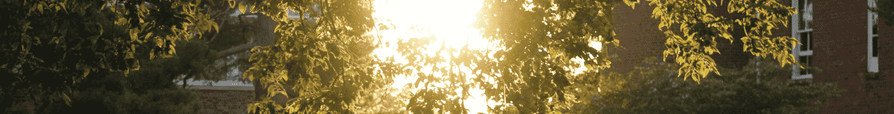 footer banner